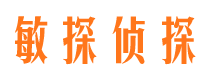 平顺市侦探公司